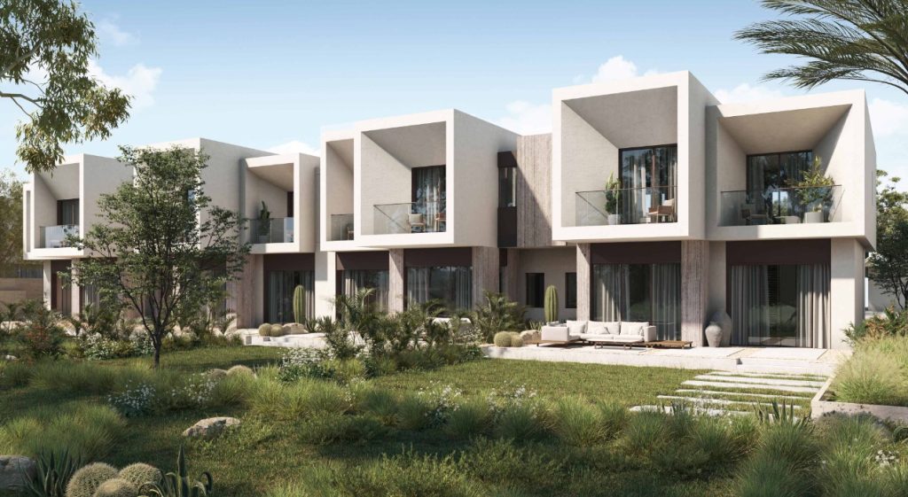 img_WhatsApp-Image-2025-02-08-at-1.01.55-PM