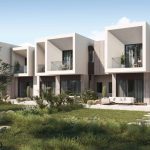 img_WhatsApp-Image-2025-02-08-at-1.01.55-PM